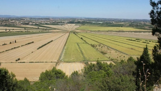 Kawasan Pertanian di Prancis Ini Seperti Jari-jari Sepeda
