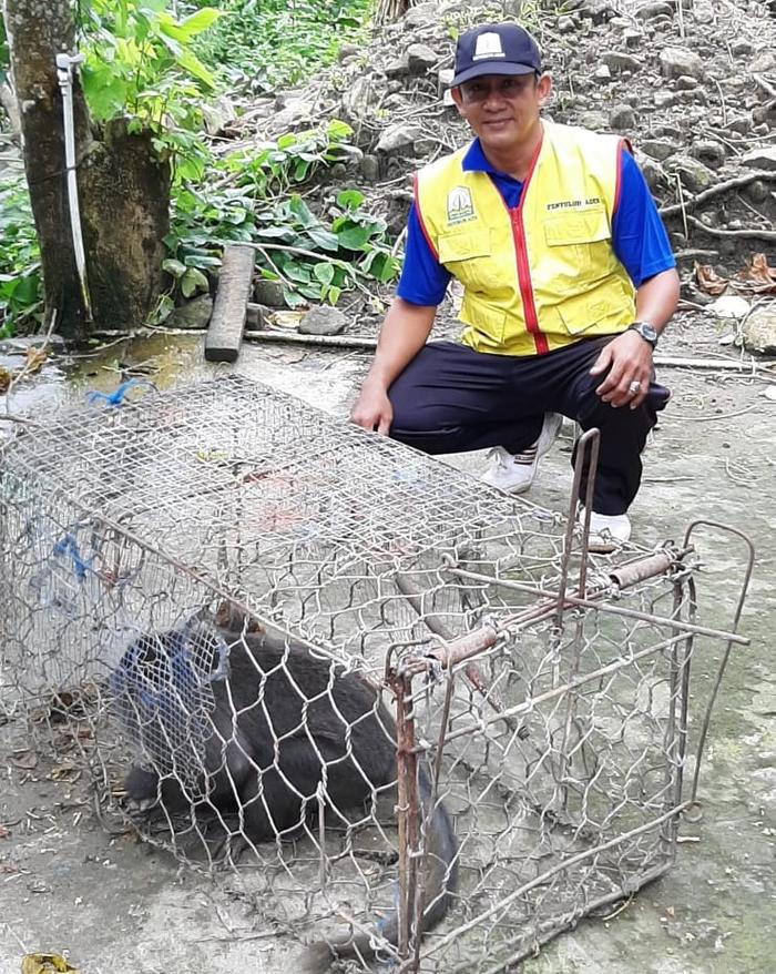 Cara Unik Petani Cot Labu Kendalikan Hama Monyet