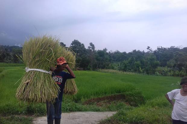  Dari Ambulans hingga Alat Pertanian, AMMDes Bantu Majukan Desa