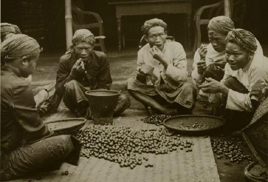 Kopi Jawa Bikin Kecanduan Orang Eropa