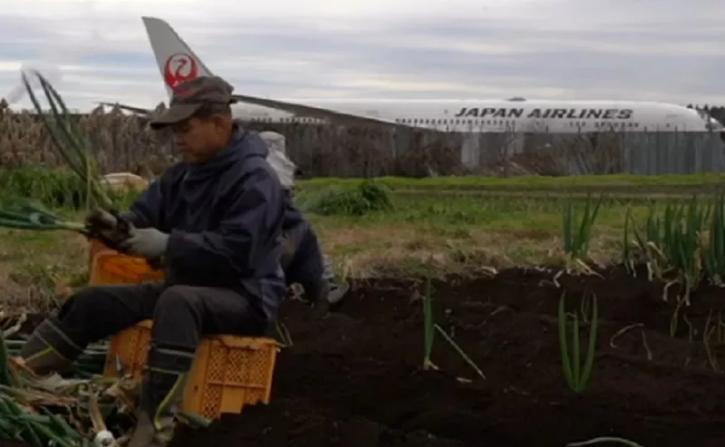 Petani Ini Tolak Pindahkan Ladangnya dari Bandara Meski Ditawari Rp25 Miliar