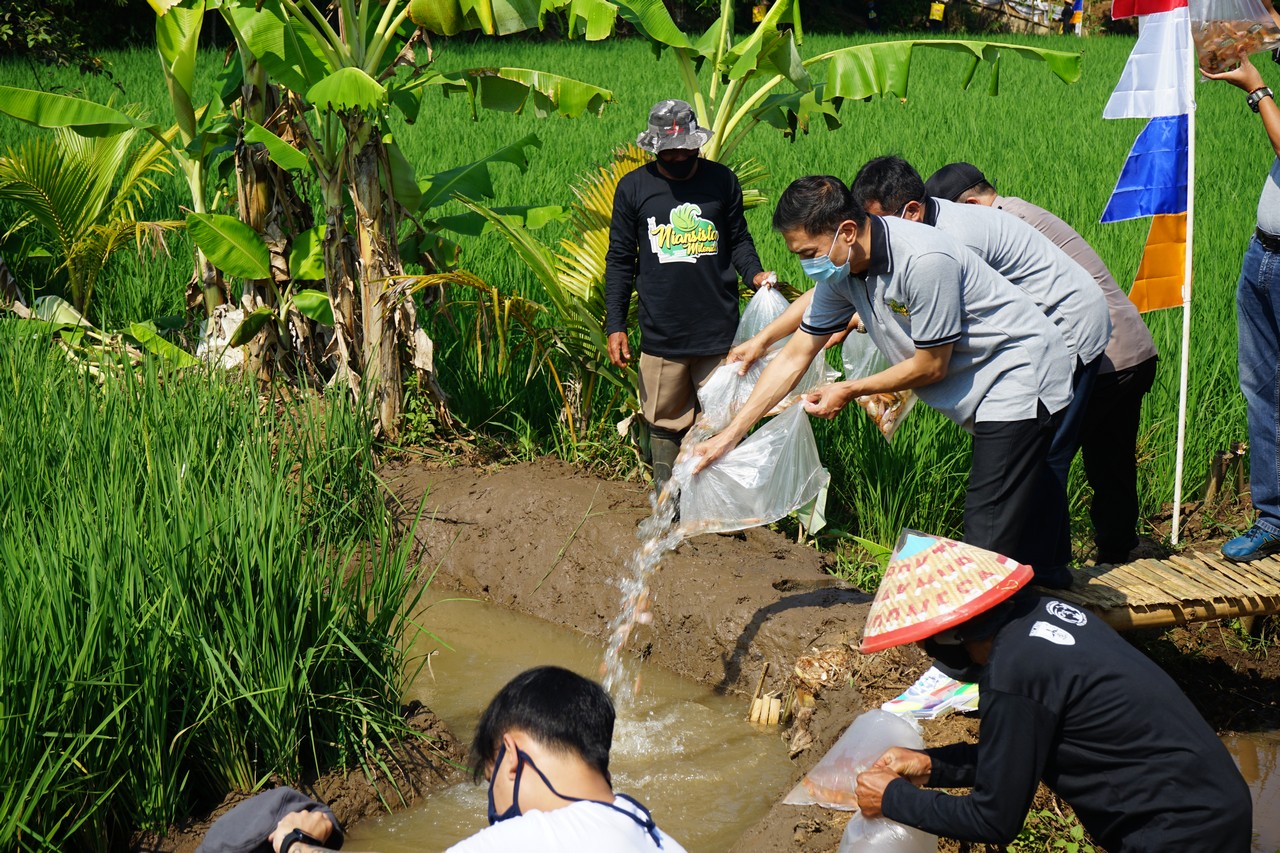 Niansista, Pertanian Berbasis Pariwisata Resmi Dibuka