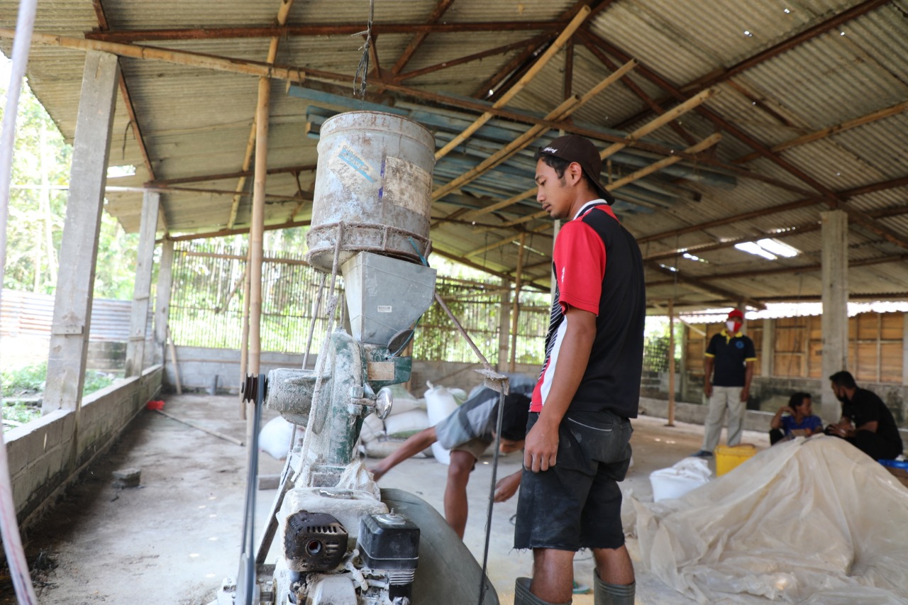Desa Urutsewu, Mandiri Energi dari Kotoran Sapi
