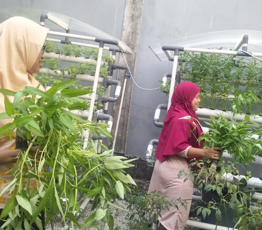 Pemkab Kepulauan Seribu Kembangkan Program Pekarangan Pangan Lestari