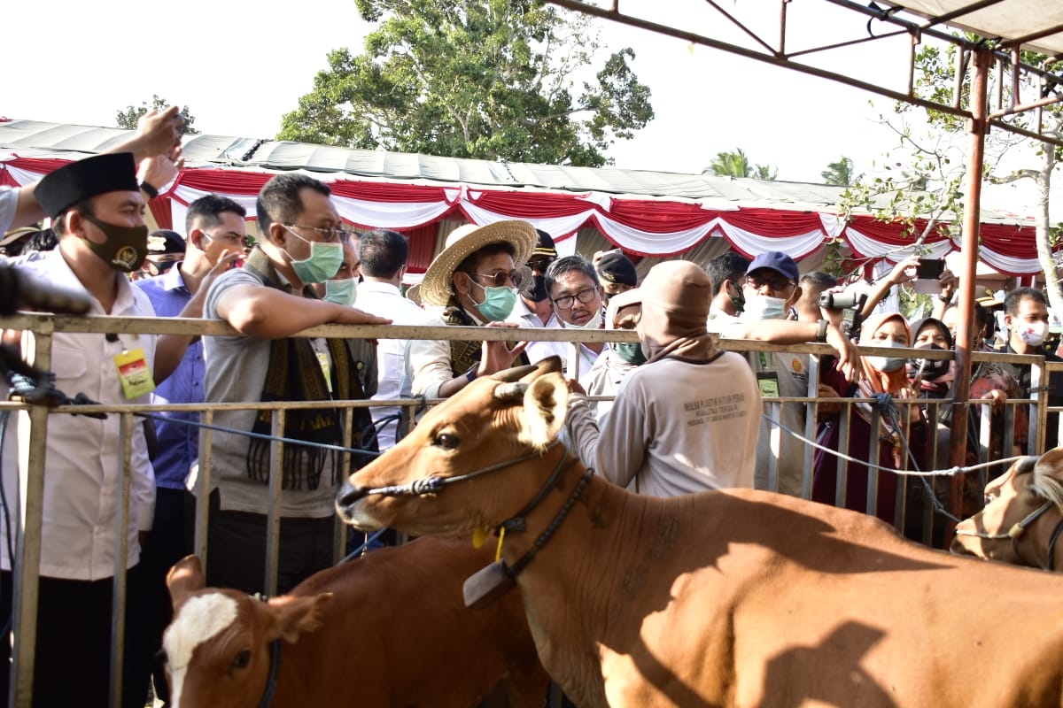 Kejar Swasembada Daging Sapi, Mentan SYL Panen Pedet di Lombok Tengah NTB
