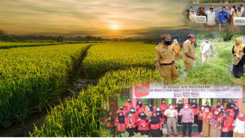 Gorontalo Borong Penghargaan Bidang Pertanian Nasional 