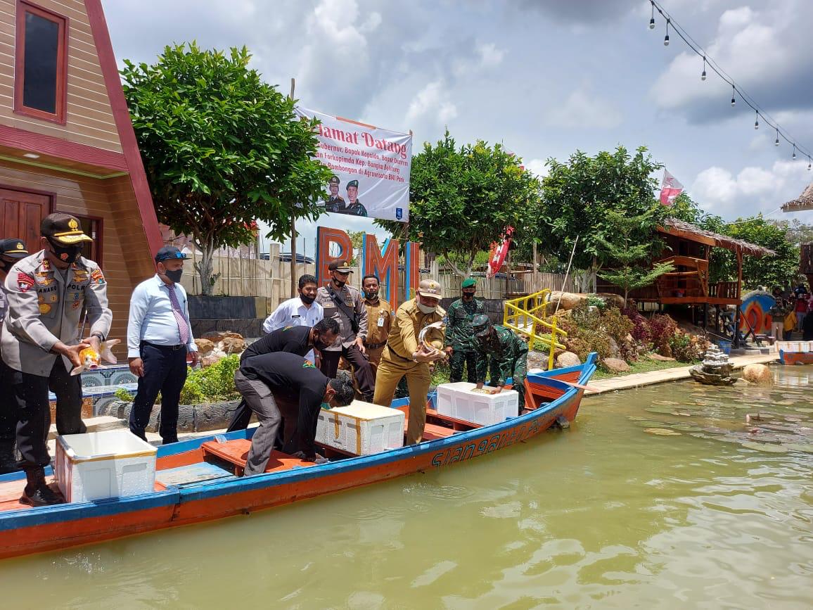 Eks Tambang Disulap Destinasi Agrowisata Bukit Mantan Indah Parit Tiga