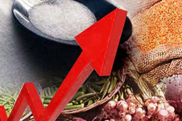 Potensi Melimpah, Wamendag Dorong Ekspor Pangan Dikembangkan