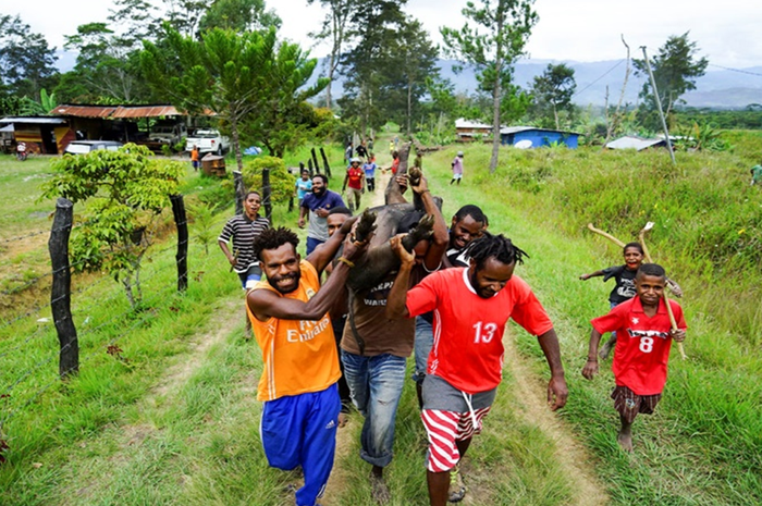 Perang, Sege dan Jejak Pertanian Masa Lalu