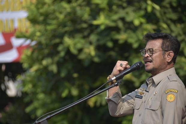 Kebutuhan Benih Perkebunan Bersertifikat Meningkat, Mentan Dorong Metode Kekinian