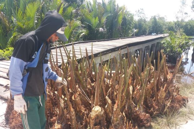 Ketahanan Pangan Jadi Hal Penting Saat Pandemi