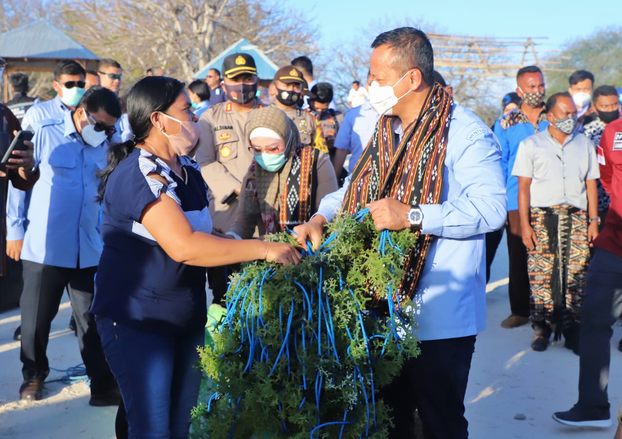 Menteri Edhy Bertekad Perkuat Budidaya dan Percepat Ekspor Perikanan NTT