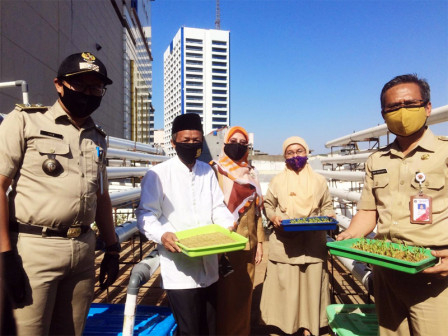Urban Farming di Jakarta Meluas dan Berkualitas