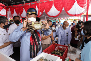 Menteri Edhy Lepas Ekspor 2,2 Ton Tuna ke Jepang