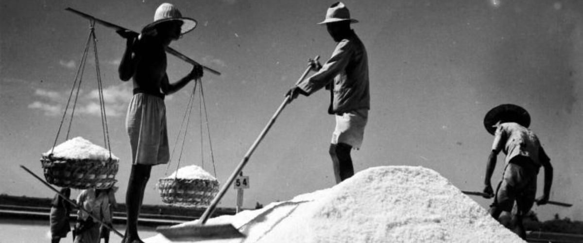 Sejarah Asinnya Garam