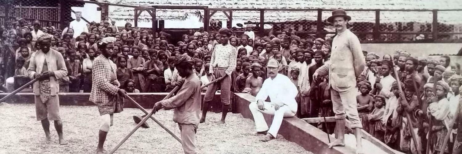 Hikayat Kopi di Tanah Jawa