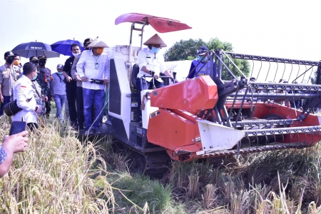  Panen Padi di Indramayu, Mentan SYL: Stok Beras Melimpah