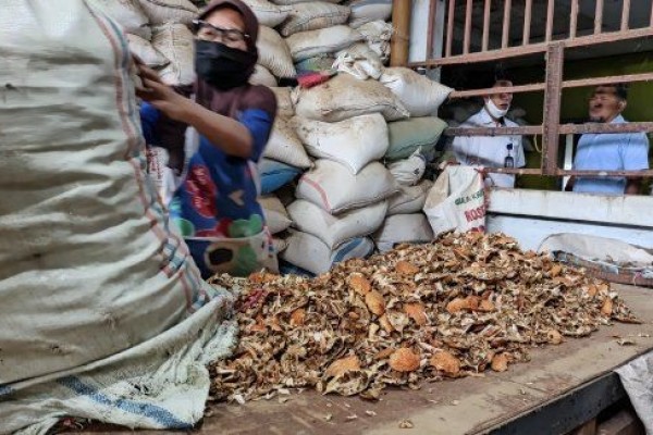 Cangkang Rajungan Asal Jateng Tembus Pasar Jepang