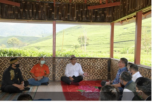 1.000 Hektare Lahan untuk Peternakan Sapi di Rancabali