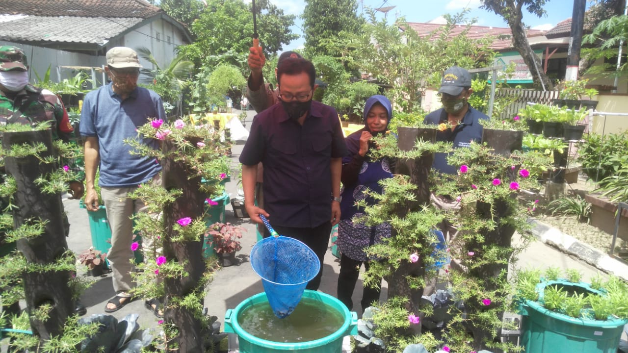 Panen Raya Lele Budidaya Ember di Klomtan Nogo Asri