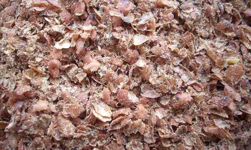 Kulit Kacang Tanah, Pakan Alternatif untuk Hewan Ternak