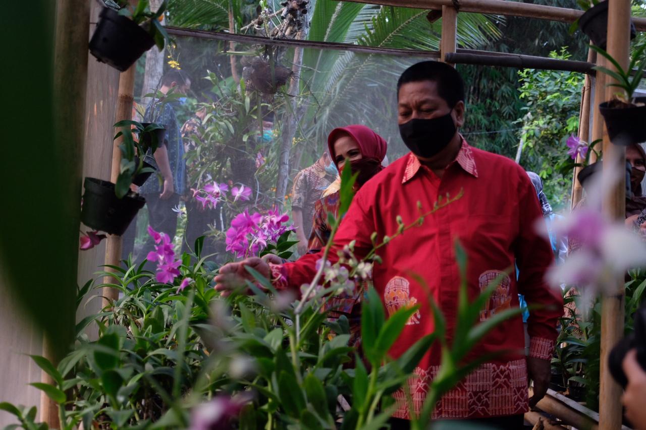 Kampung Anggrek Nan Cantik, Semarakkan Kota Sejuta Bunga