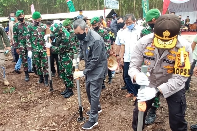 Gubernur Riau Tanam Perdana Jagung Kelompok Tani Hutan Sendang Berkah Aryastya di Kampar