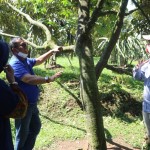 Bersama Kementan, Warso Farm Siap Kembangkan 13 Hektare Lahan Buah Naga dan Durian