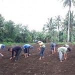 Desa Pertanian Organik Modoinding Picu Animo Pelanggan Pasar Swalayan