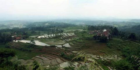 Desa Wisata Ciasihan Usung Kearifan Adat dan Pengetahuan Lokal