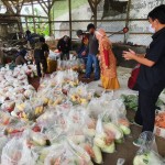Rekrut Korban PHK, Pasar Tani Terus Pasok Kebutuhan Sayur Saat Pandemi