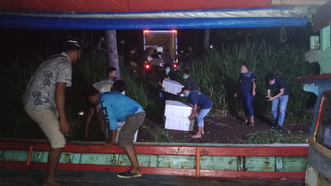 1,5 Juta Ekor Lobster Hasil Sitaan Dilepasliarkan di Perairan Pandeglang