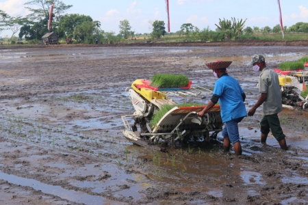 Propaktani, Perubahan Pola Pertanian Baru dengan Perbaikan Aspek Manajemen