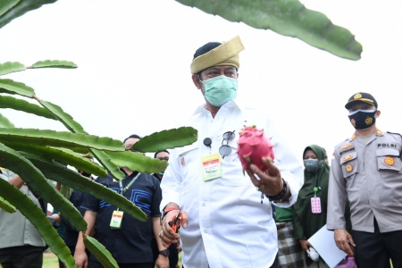 Balai Benih Induk Kepri Peluang Kekuatan Ekonomi RI