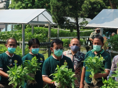 Bertani di Pekarangan, Wujudkan Pertanian sebagai Andalan