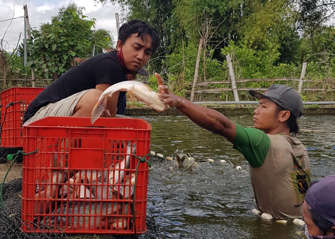 KKP Dorong Tulungagung Jadi Wisata Patin Terintegrasi