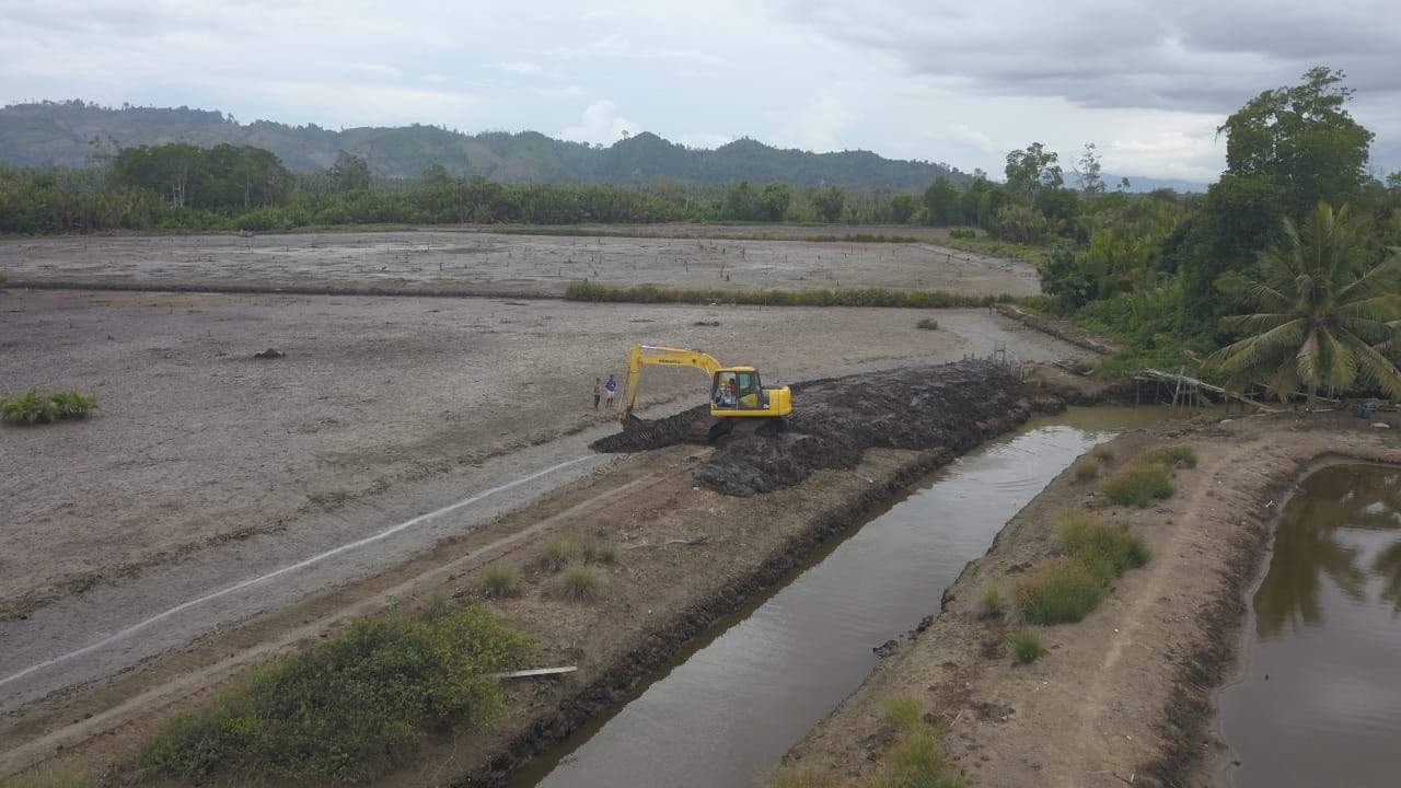 1.000 Hektar Lahan untuk Pengembangan Klaster Tambak Udang Berkelanjutan di Buol