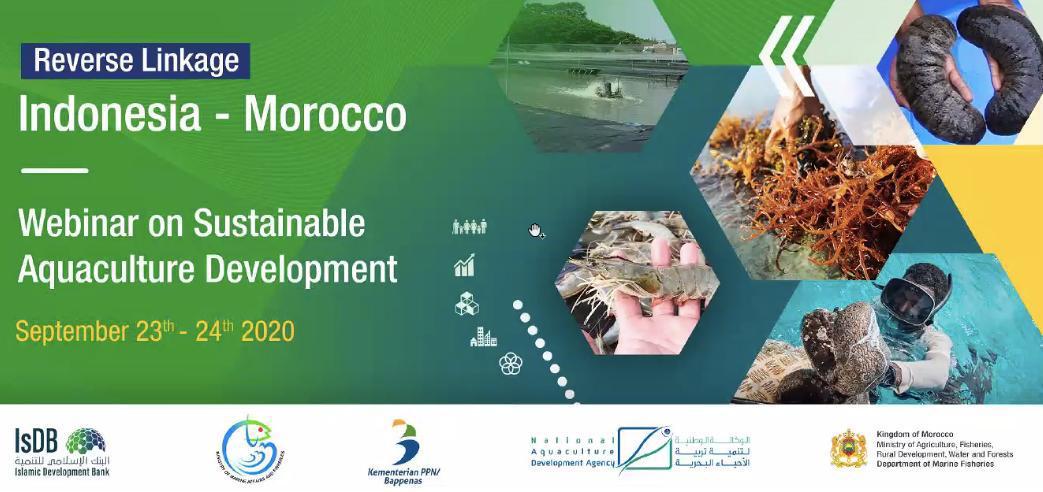 Indonesia-Maroko Gandeng Islamic Development Bank Kolaborasi Angkat Komoditas Perikanan Budidaya