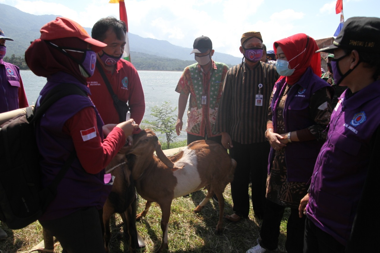 Peringati Bulan Bakti Peternakan, Bupati Brebes Bagikan Bantuan Kepada Peternak