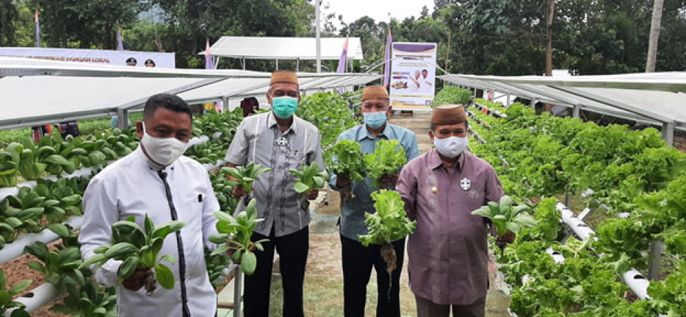 Keragaman Pangan Lokal Miliki Kandungan Gizi Seimbang dan Aman