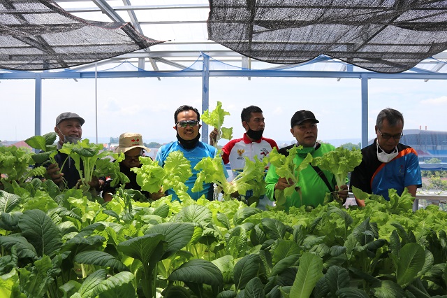 SMP Piri 1 Yogyakarta Manfaatkan Rooftop Sekolah untuk Berkebun Sayur