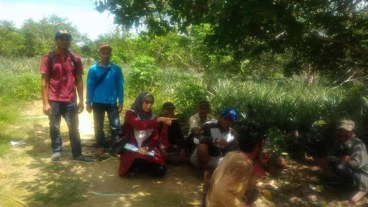 Ini Dia Satu-satunya Kebun Entres Jambu Mete di Indonesia