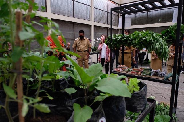 Tiga Poktan di Kota Magelang Terima Bantuan Alsintan dari Kementan