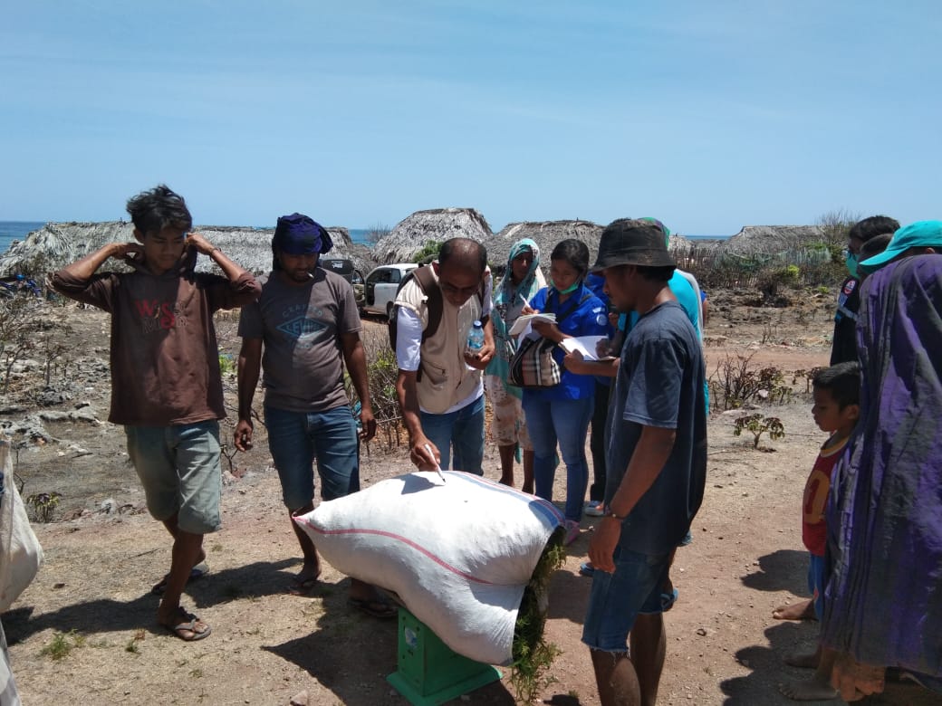  Genjot Produksi Rumput Laut, 16,86 Ton Bibit Disalurkan kepada Pembudidaya