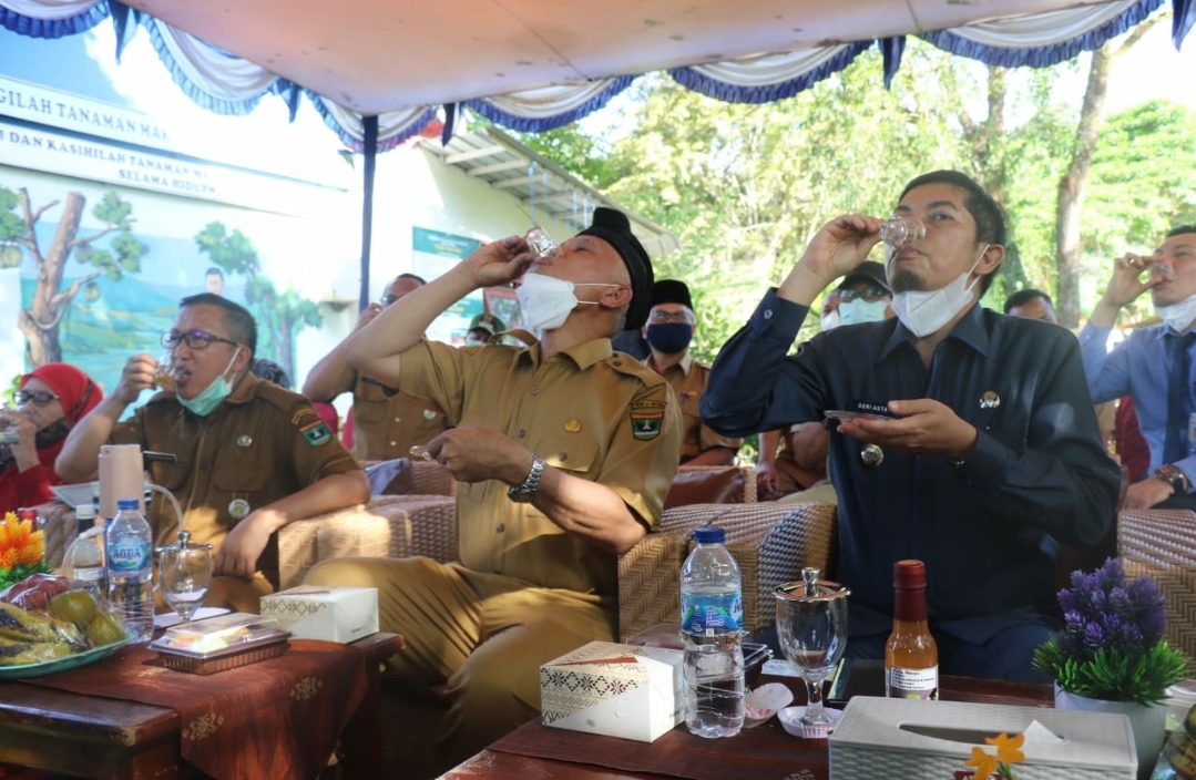 Serahkan Bantuan 2400 Koloni Lebah Kelulut, Gubernur Sumbar Canangkan Gerakan Minum Madu Asli