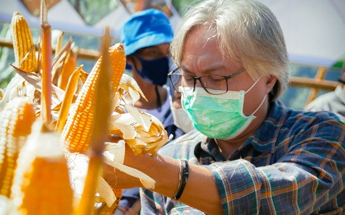 Perani Milenial Binaan Dinas TPH Jabar Panen Jagung HIbrida