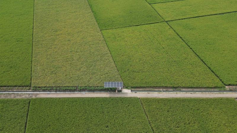 Desa Energi Berdikari di Indramayu Wujudkan Ketahanan Pangan dan Energi