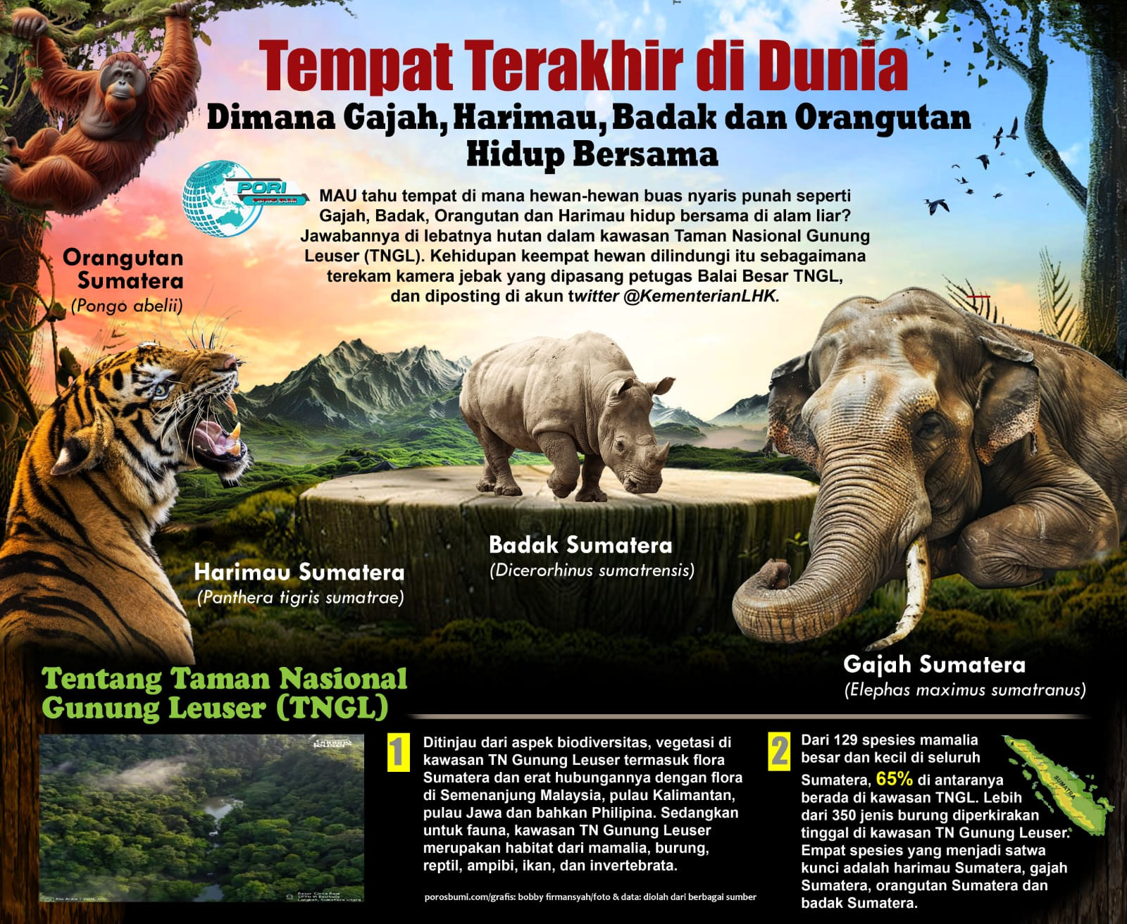 Satu-Satunya Tempat Terakhir di Alam Liar, Di mana Gajah, Harimau, Badak dan Orangutan Hidup Bersama