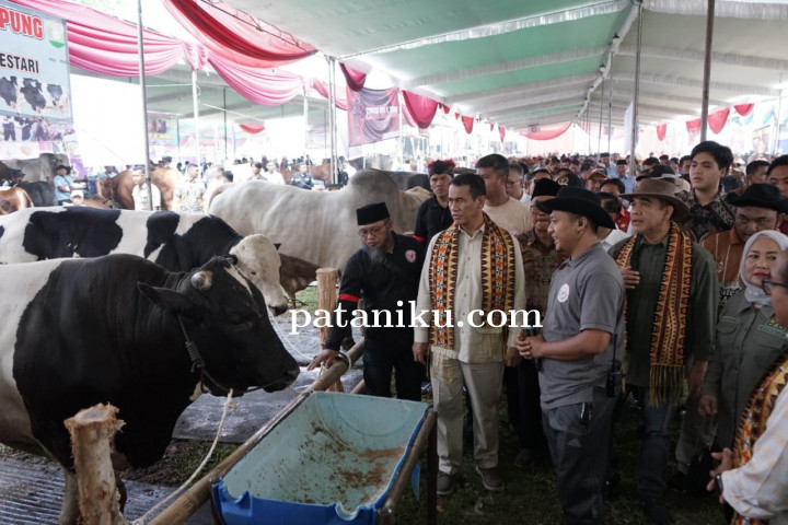 Sebelum Rapat Akhir Pekan, Mentan Selesaikan Curhatan Peternak Madiun