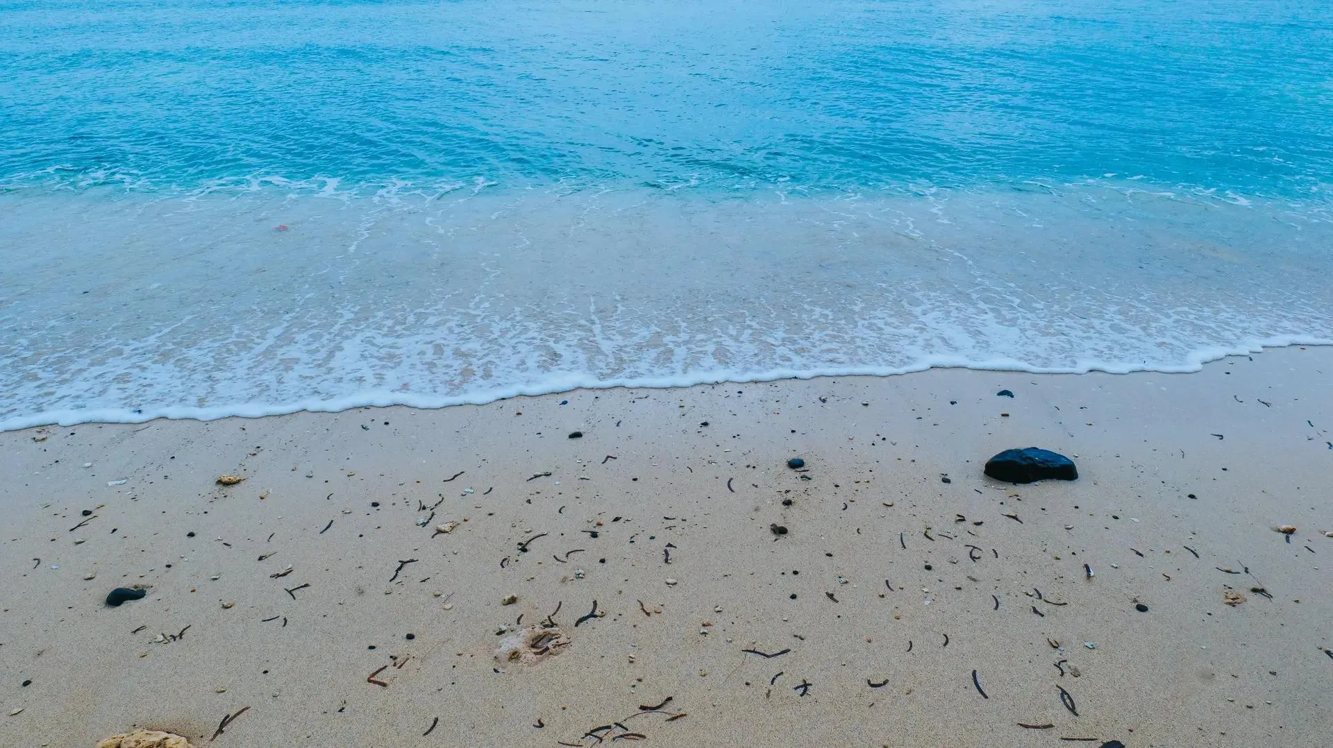 Pesona Teluk Tomini, Surga Wisata Bawah Laut Indonesia